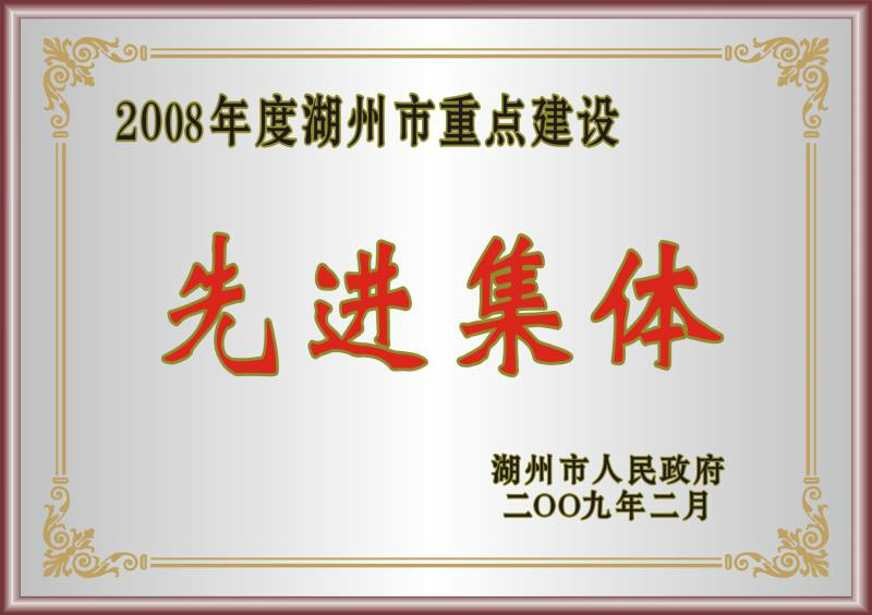 2008年度湖州市重點建設(shè)先進(jìn)集體